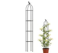 Traliccio Per Piante In Vaso - Supporti Decorativi Antiruggine Con Paletti | Supporto Per Piante Di Monstera | Per Esterni E Interni: Rose, Clematidi, Ortaggi, Frutta, Cetrioli, Uva, Gelsomini, Giardi