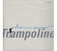 Trampoline - I Want One of Everybody