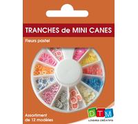Tranches De Canes Mini Mini Fleur Pastel