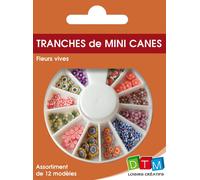 Tranches De Canes Mini Mini - Fleur Vive - Dtm