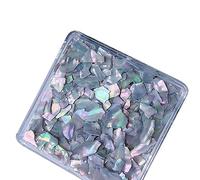 Tranches de coquillage d'ormeau irrégulier, 6 couleurs, flocons naturels pour nail art, décorations 3D colorées, décorations artistiques, coquillages