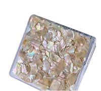 Tranches de coquillage d'ormeau irrégulier, 6 couleurs, flocons naturels pour nail art, décorations 3D colorées, décorations pour nail art, coquillages