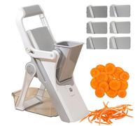 Trancheuse à légumes - Râpe manuelle avec lames interchangeables - Multifonctionnel - Avec poignée et boîte de rangement pour la cuisine