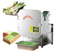 Trancheuse à oignons verts professionnelle, coupe-légumes électrique, hachoir à oignons nouveaux, pour gingembre, piment, pommes de terre, concombre, 200 kg/heure, pour oignons verts, céleri