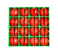Trancheuse à tomates cerises - 16 pièces - Outil multifonction en polypropylène de qualité alimentaire - Passe au lave-vaisselle - Choppers de légumes - Gadgets de fabrication de salades - Pour la
