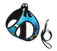 Tranquil Ensemble harnais et laisse en maille douce pour chien et chat Motif paysage sous-marin