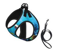 Tranquil Ensemble harnais pour chien avec laisse et gilet rembourré épais pour chiens de très petite et moyenne taille Motif paysage sous-marin