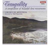 Tranquility (Une Compilation De Magnifiques Mouvements Lents)