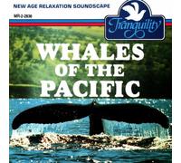 Tranquility: Whales Of The Pacific - Anton Hughes