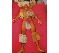 trans-species and shapeshifting encounter: Lygia Clarks künstlerische Methode der Strukturierung des Selbst