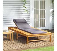 vidaXL Chaise longue et coussin-oreiller gris foncé bois massif acacia 362154