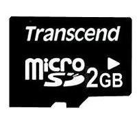 Transcend Carte mémoire Flash - 2 Go - Micro SD (Pas de boîte ni d'adaptateur)