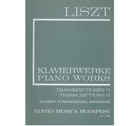 Transcriptions Vi (Ii/21) / Recueil