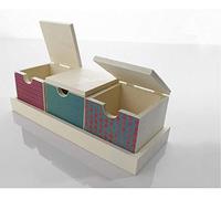 Transfer Paper by Gecko Paper | Inkjet Compatible Paper + Create Custom Rub On Decals at Home + No Need for Water Dry Rub Off + Packs of 5 A4 Sheets Clear