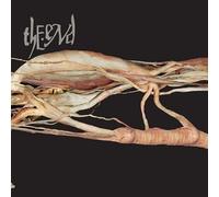 Transfer Trachea Reverberations by Relapse (2004-09-14)