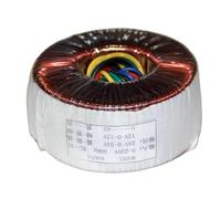Transformateur de puissance for bétail à anneau tout cuivre haute puissance 600 W double 24 V double 12 V simple 6 V(A)