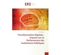 Transformation Digitale: Impacts sur la Performance des Institutions Publiques