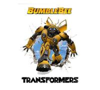 Coffret Transformers L'intégrale des 5 films et Bumblebee DVD E