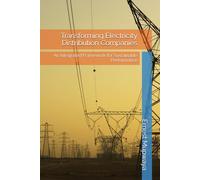 Transforming Electricity Distribution Companies: An Integrated Framework for Sustainable Performance