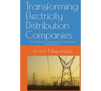 Transforming Electricity Distribution Companies: An Integrated Framework for Sustainable Performance