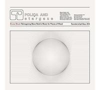 Steve Reich Bruise Blood: Reimagining Steve Reich's Music for Pieces of (Vinyl)