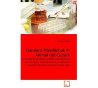 Transient Transfection In Animal Cell Culture