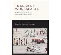 Transient Workspaces: Technologies of Everyday Innovation in Zimbabwe