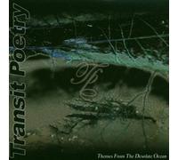 Transit Poetry - Themes from the Desolate