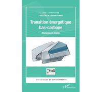 Transition énergétique bas-carbone: Obstacles et enjeux