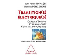 Transitions électriques: Ce que l'Europe et les marchés n'ont pas su nous dire
