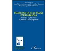 Transitions en vie de travail et en formation Anne-Marie Vonthron (Auteur), Marc-Eric Bobillier-Chaumon (Auteur), Bernard Gangloff (Auteur), Patrick Gilbert (Auteur)