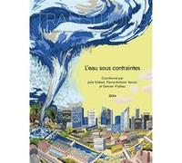Transitions - L'eau sous contraintes Julie Gobert (Auteur), Pierre-Antoine Versini (Auteur), Damien Violeau (Auteur)
