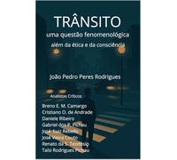 TRÂNSITO: UMA QUESTÃO FENOMENOLÓGICA: muito além da ética e da consciência