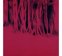 Translucents - Roots Run Deep