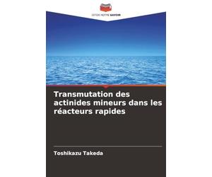 Transmutation des actinides mineurs dans les réacteurs rapides