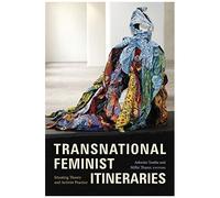 Transnational Feminist Itineraries