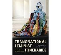 Transnational Feminist Itineraries Edited by Ashwini Tambe , Edited by Millie Thayer (Auteur)