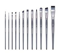 Transon Lot de 12 pinceaux d'artiste pour Aquarelle, Acrylique, Gouache, Huile et détrempe
