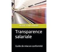 Transparence salariale: Guide de mise en conformité des entreprises françaises