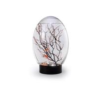 Transparency Mini poisson de bureau fermé pour alimentation aquatique Boîte multifonction Amphibien Q7a1 Ecosystem