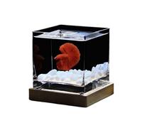 Transparent Aquarium carré en verre translucide de haute qualité, réservoir spécial for poissons de combat avec couvercle, réservoir for poissons tropicaux, vase hydroponique, vase à fleurs, petit aqu