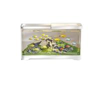 Transparent Aquarium de Bureau en Acrylique Transparent avec Couvercle et Base, Petit Aquarium d'élevage de Poissons for Salon Goldfish(Blanc,Grand)