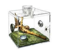 Transparent Habitat, Acrylic Pet Enclosure, Ventilated Design with Secure Lid, Breeding Box for Spider Mantis Care, Reptile Cage with Display Style, Housing for Home Use