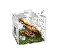 Transparent Habitat, Acrylic Pet Enclosure, Ventilated Design with Secure Lid, Breeding Box for Spider Mantis Care, Reptile Cage with Display Style, Housing for Home Use