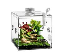 Transparent Habitat, Acrylic Pet Enclosure, Ventilated Design with Secure Lid, Breeding Box for Spider Mantis Care, Reptile Cage with Display Style, Housing for Home Use