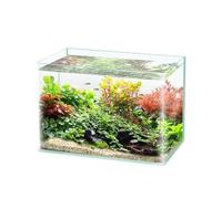 Transparent Nouveau Aquarium en Verre Ultra Transparent chauffé incurvé for Petit Aquarium de Bureau for Tortues for Salon Goldfish(35cmx21cmx23cm)