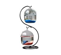 Transparent Petit Aquarium décoratif de Bureau, Cadre métallique en Forme courbée avec 2 Petits Aquariums en Verre Goldfish