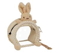 Transporteur pour Perroquet - Sac À Bandeoulaire Transparent pour Animaux De Compagnie : Planeurs du Sucre, Écureuils Et Petites Espèces | Doudou Et Acrylique, Mignon Style Dessin Animé, Respirant Et