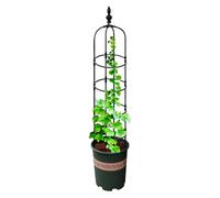 Trap Obélisk Garden - Support pour avec jantes circulaires pour installations intérieures - Cages de jardin pour jardin - grimpantes pour fleurs