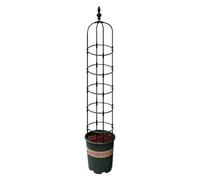 Trap Obélisk Garden - Support pour avec jantes circulaires pour installations intérieures - Cages de jardin pour jardin - grimpantes pour fleurs